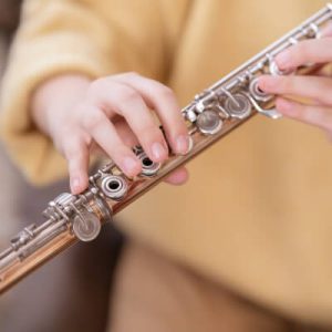 musician template gallery img b 6 300×300.jpg