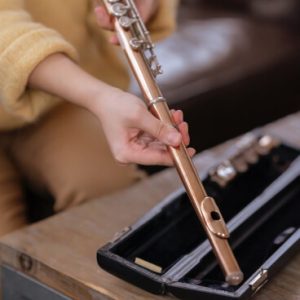 musician template home gallery img 5 300×300.jpg