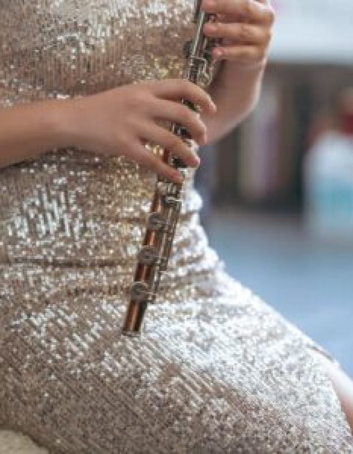 musician template gallery img a 3 300×300.jpg