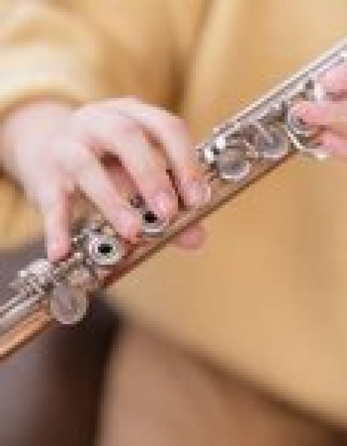 musician template gallery img b 6 150×150.jpg